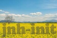 mk全站官网下载-MK全站官网下载，即时获取，流畅体验