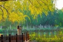 所有足球比赛比分-足球比分背后的故事，从数字到激情的深度解码